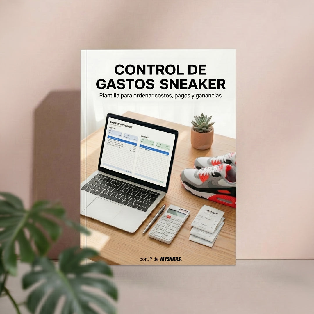 Control Financiero Negocio Sneakers