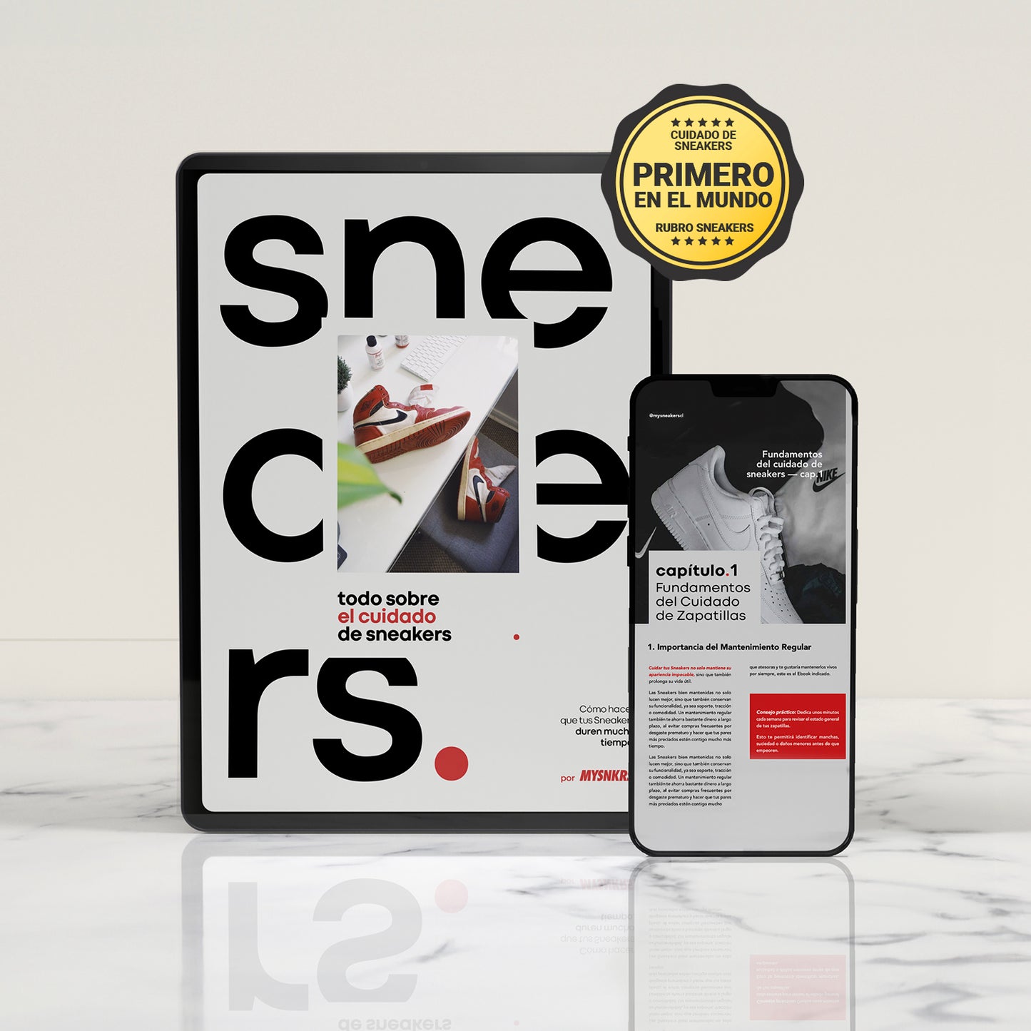 E-Book "Todo Sobre el Cuidado de Sneakers"