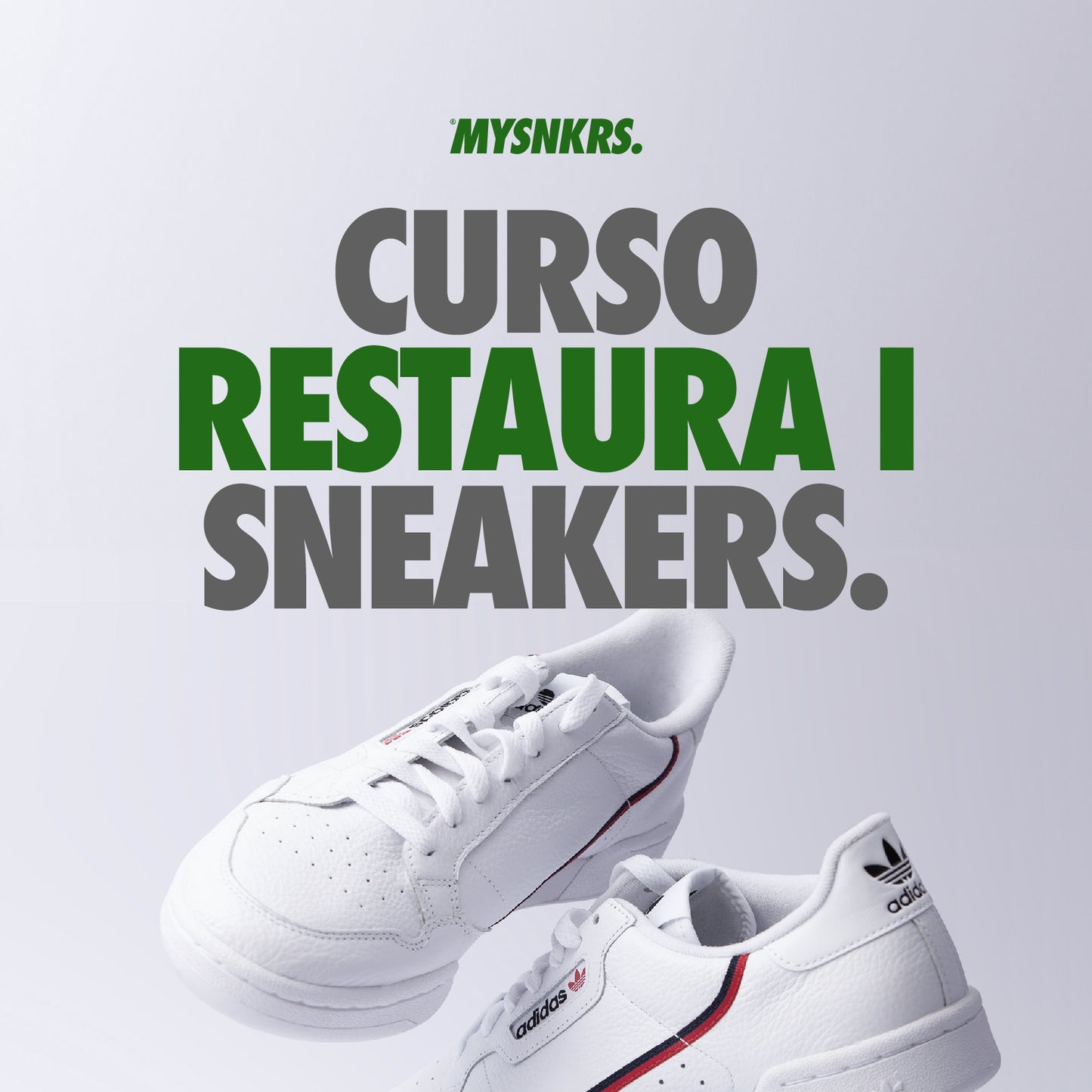 Curso de Restauración Nivel I – Zapatillas